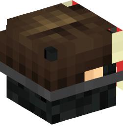 Minecraft head — People