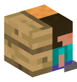 Minecraft head — Decor