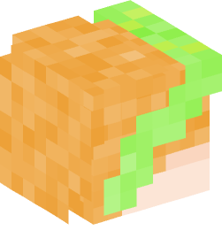 Minecraft head — People