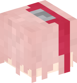 Minecraft head — People