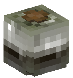 Minecraft head — Decor