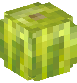 Minecraft head — Plants