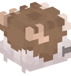 Minecraft head — People