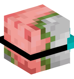 Minecraft head — Creatures