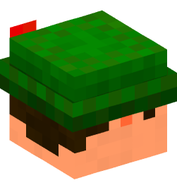 Minecraft head — People