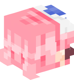 Minecraft head — People