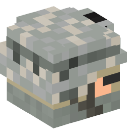 Minecraft head — People