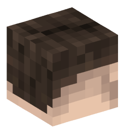 Minecraft head — People