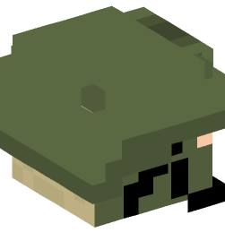 Minecraft head — People