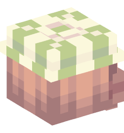 Minecraft head — People