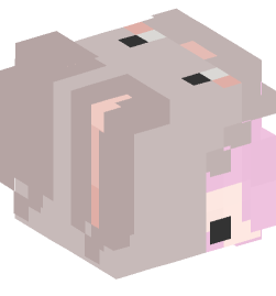 Minecraft head — People