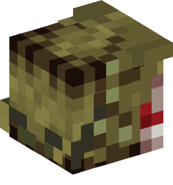 Minecraft head — People