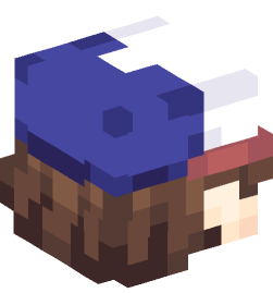 Minecraft head — People