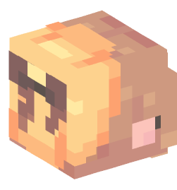 Minecraft head — People