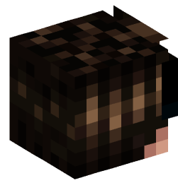 Minecraft head — People