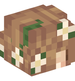 Minecraft head — People