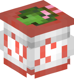 Minecraft head — Decor