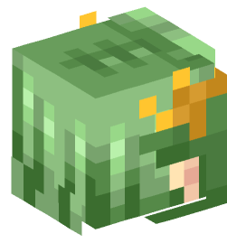 Minecraft head — People