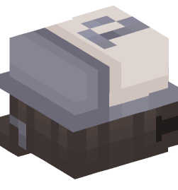 Minecraft head — People