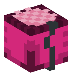 Minecraft head — Decor