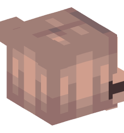 Minecraft head — People