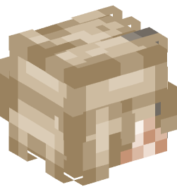 Minecraft head — People