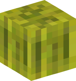 Minecraft head — Plants