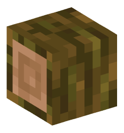 Minecraft head — Blocks