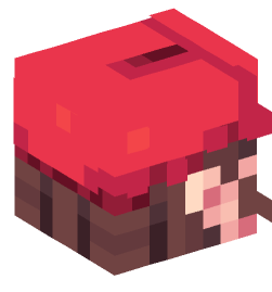 Minecraft head — People