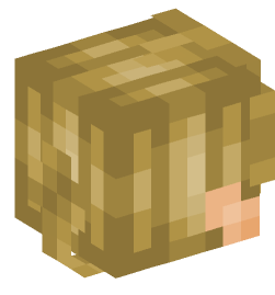 Minecraft head — People