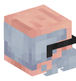 Minecraft head — People