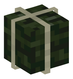 Minecraft head — Blocks