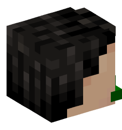 Minecraft head — People