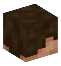 Minecraft head — People