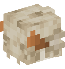 Minecraft head — People