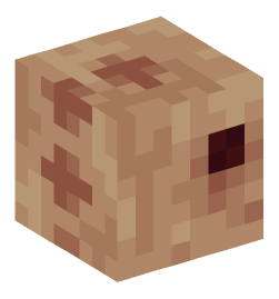 Minecraft head — Animals