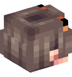 Minecraft head — People