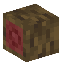 Minecraft head — Blocks