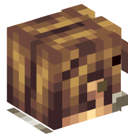 Minecraft head — People