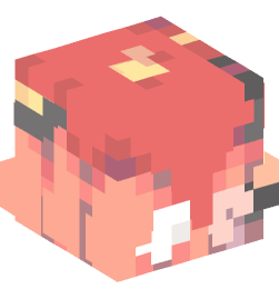 Minecraft head — People