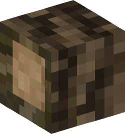 Minecraft head — Blocks