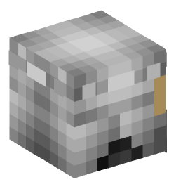 Minecraft head — People