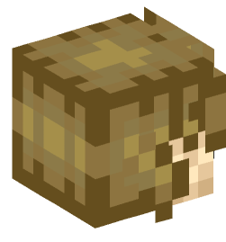 Minecraft head — People