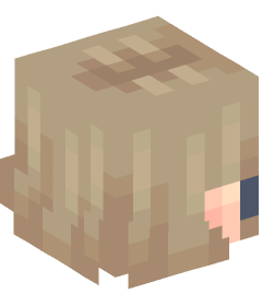 Minecraft head — People