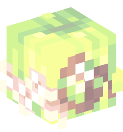 Minecraft head — People