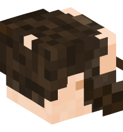 Minecraft head — People