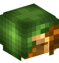 Minecraft head — Creatures