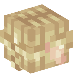 Minecraft head — People