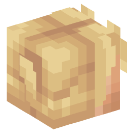 Minecraft head — People