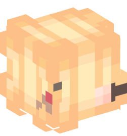 Minecraft head — People